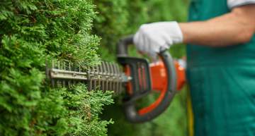 Paysagiste Paysagiste